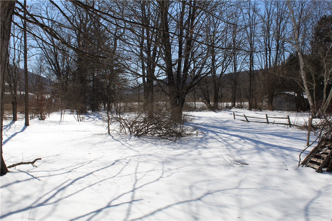 51 Bridge Street Roxbury, NY 12474 - Photo 7 of 35