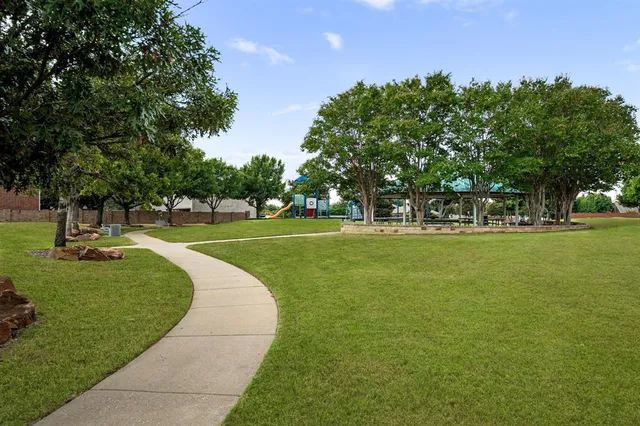 a view of a park with large trees