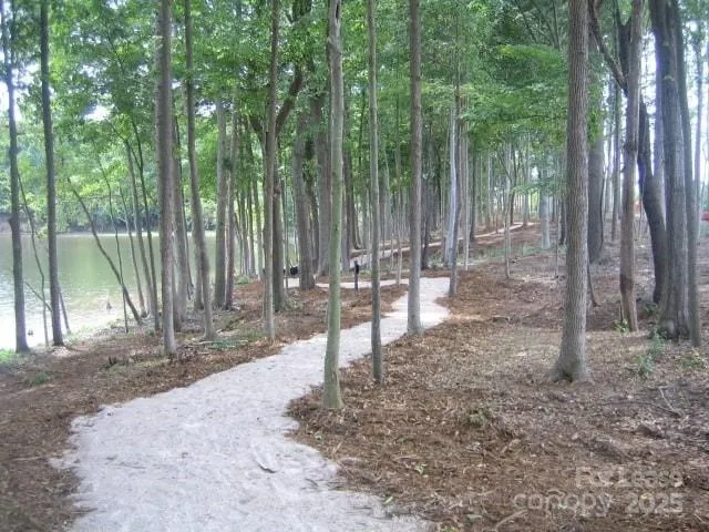 a view of a road with a yard