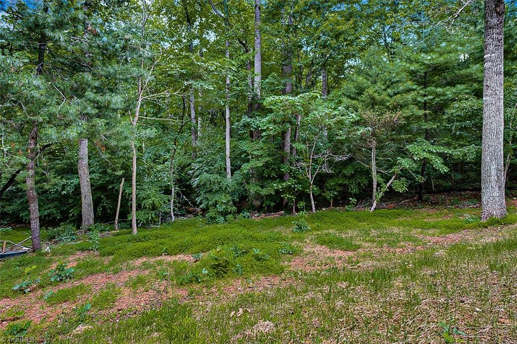 2140 Poole Town Road Asheboro, NC 27205 - Photo 32 of 33 Back yard