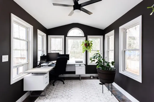 a living room with furniture and a potted plant