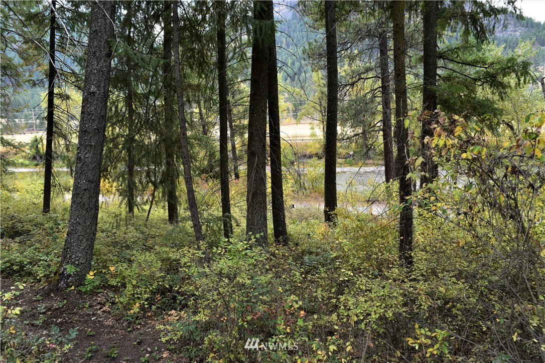 -tbd Customs Road Curlew, WA 99118 - Photo 1 of 20 Gallery Image 1