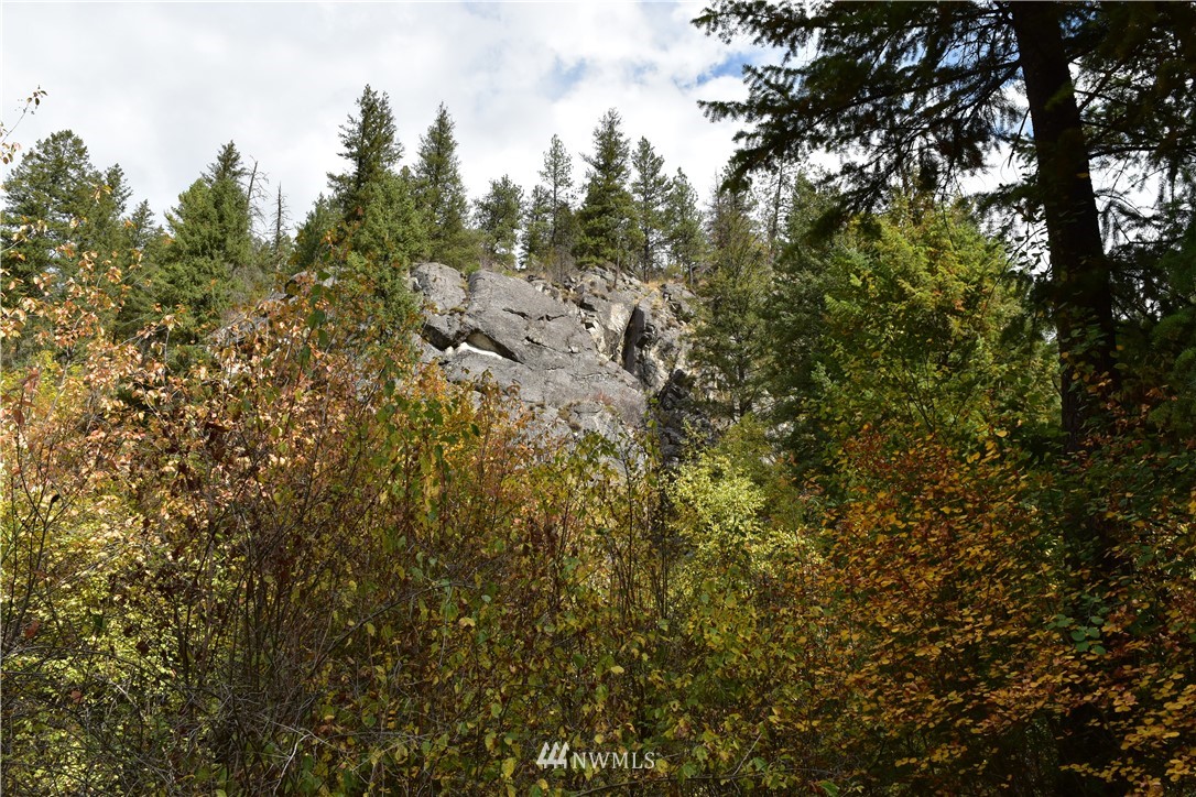 -tbd Customs Road Curlew, WA 99118 - Photo 15 of 20 Gallery Image 15
