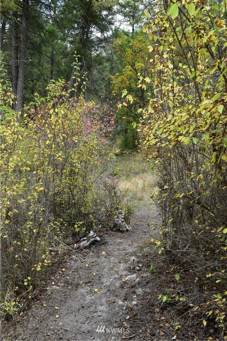 -tbd Customs Road Curlew, WA 99118 - Photo 17 of 20 Gallery Image 17
