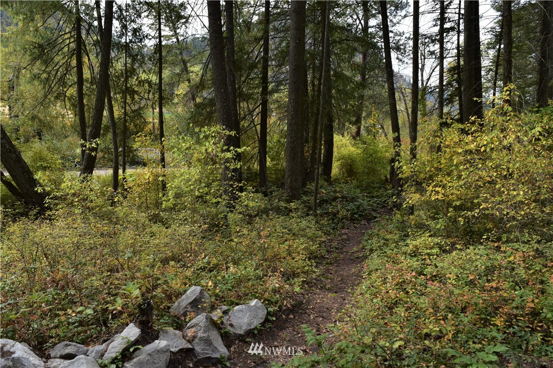 -tbd Customs Road Curlew, WA 99118 - Photo 3 of 20 Gallery Image 3