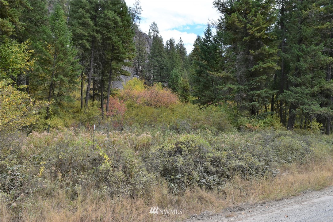 -tbd Customs Road Curlew, WA 99118 - Photo 9 of 20 Gallery Image 9