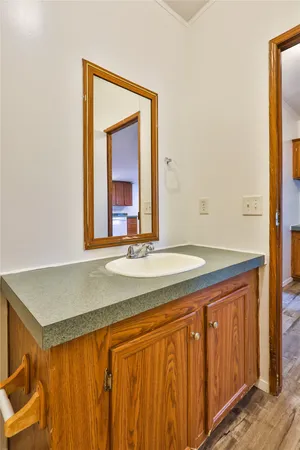 a bathroom with a sink and a mirror