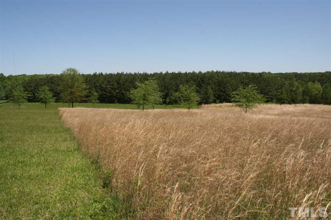 8222 Antioch Church Road Middlesex, NC 27557 - Photo 8 of 25 Gallery Image 8