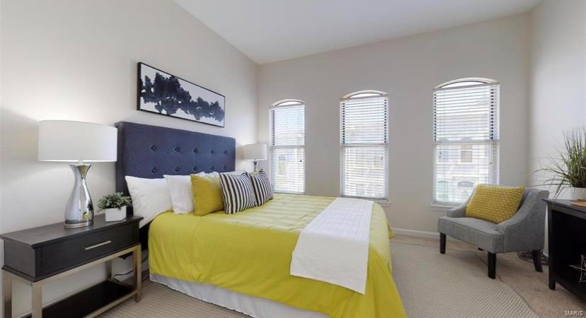 2321 Rutger Street St. Louis, MO 63104 - Photo 20 of 26