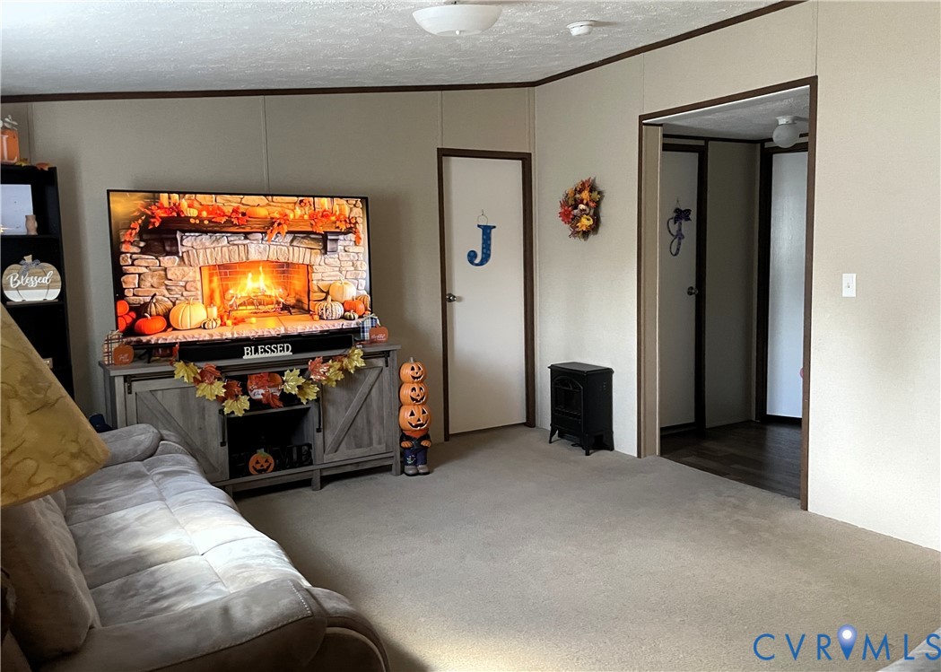 7156 Double Bridges Road Victoria, VA 23974 - Photo 14 of 37