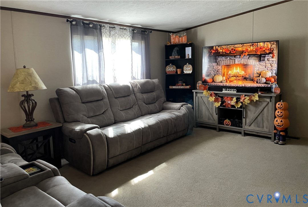 7156 Double Bridges Road Victoria, VA 23974 - Photo 15 of 37