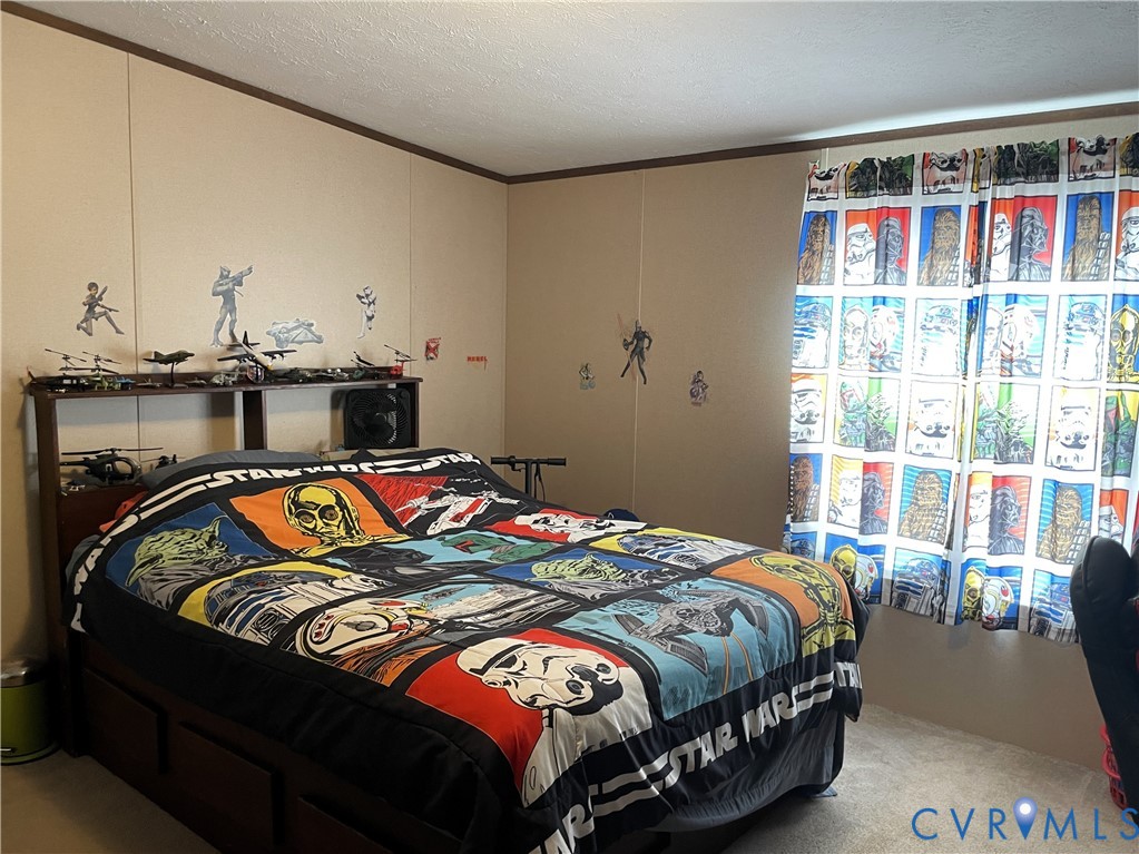 7156 Double Bridges Road Victoria, VA 23974 - Photo 20 of 37