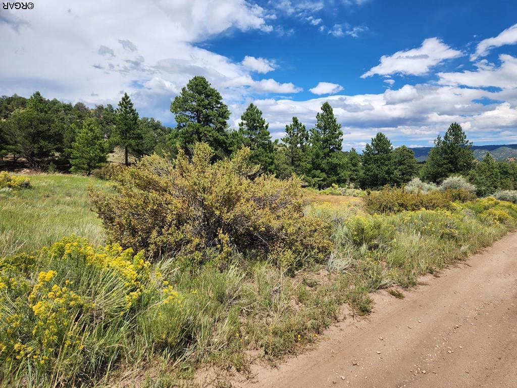 15 Arroyo Road Westcliffe, CO 81252 - Photo 3 of 29 Gallery Image 3
