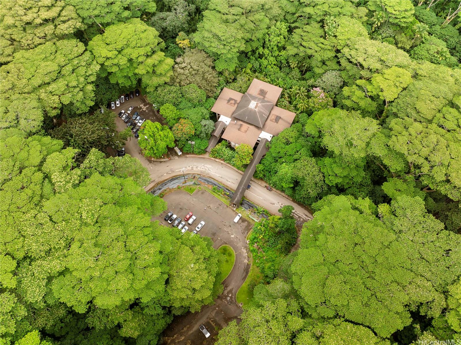 a view of a garden with plants