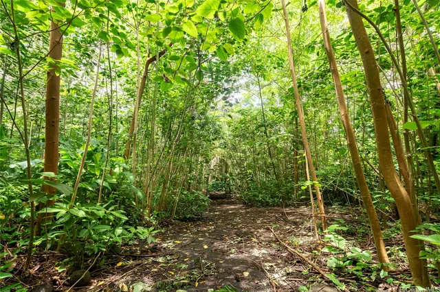 a backyard of a house with lots of green space