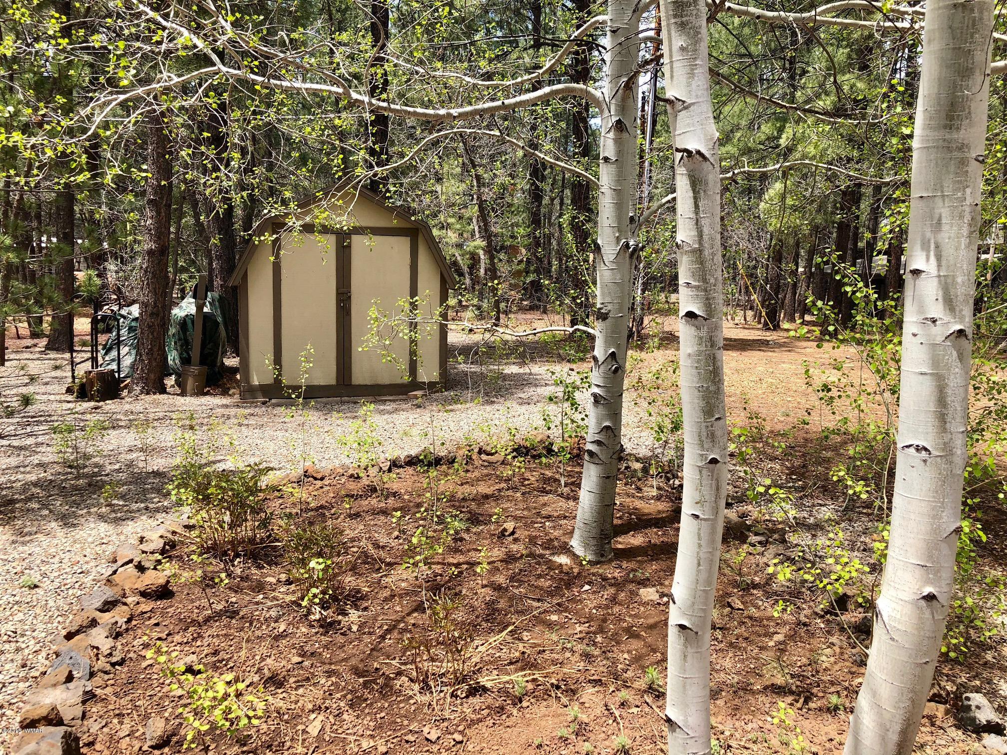 4288 Racoon Court Pinetop, AZ 85935 - Photo 22 of 29 a pathway of a house
