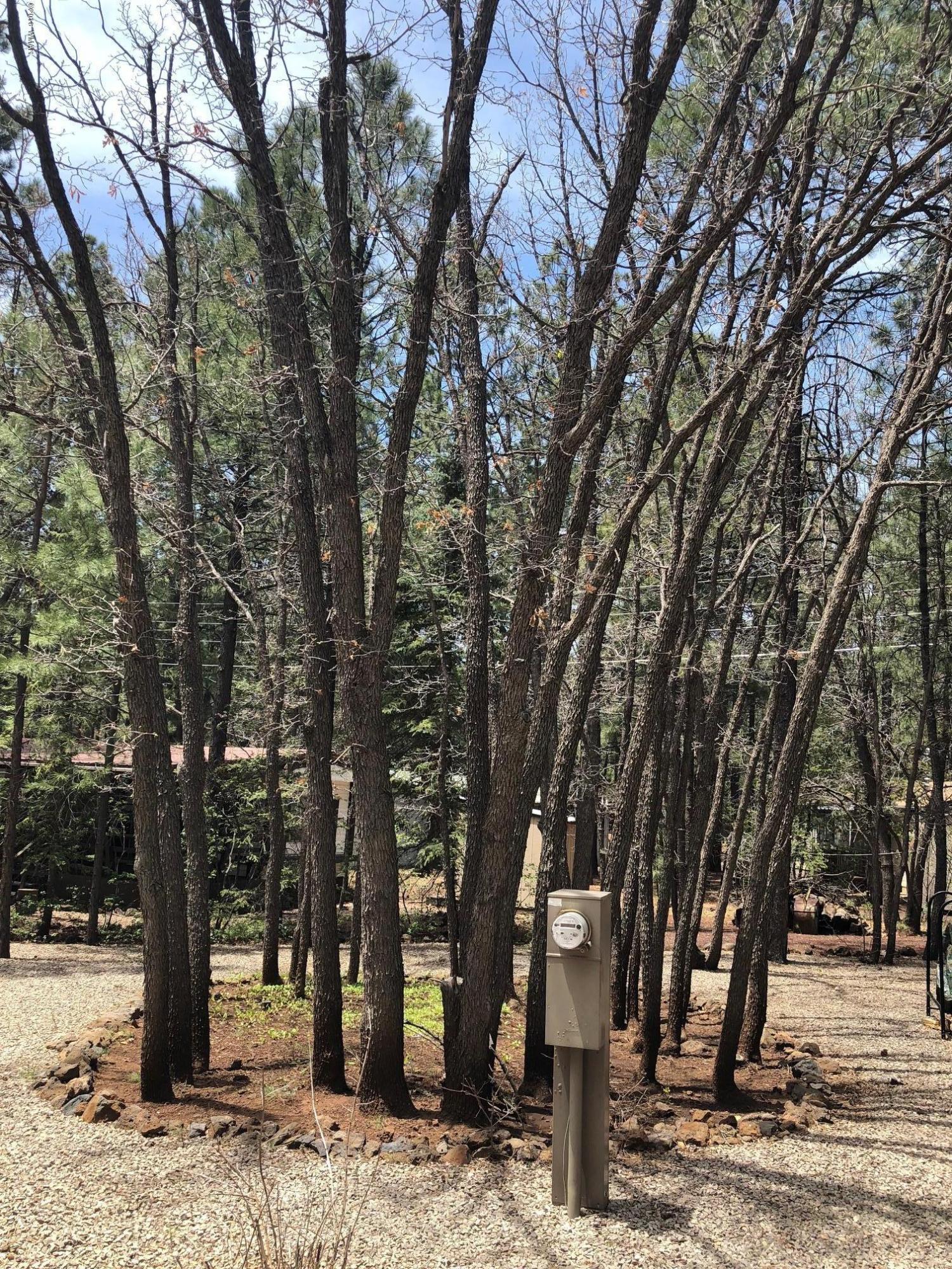 4288 Racoon Court Pinetop, AZ 85935 - Photo 23 of 29
