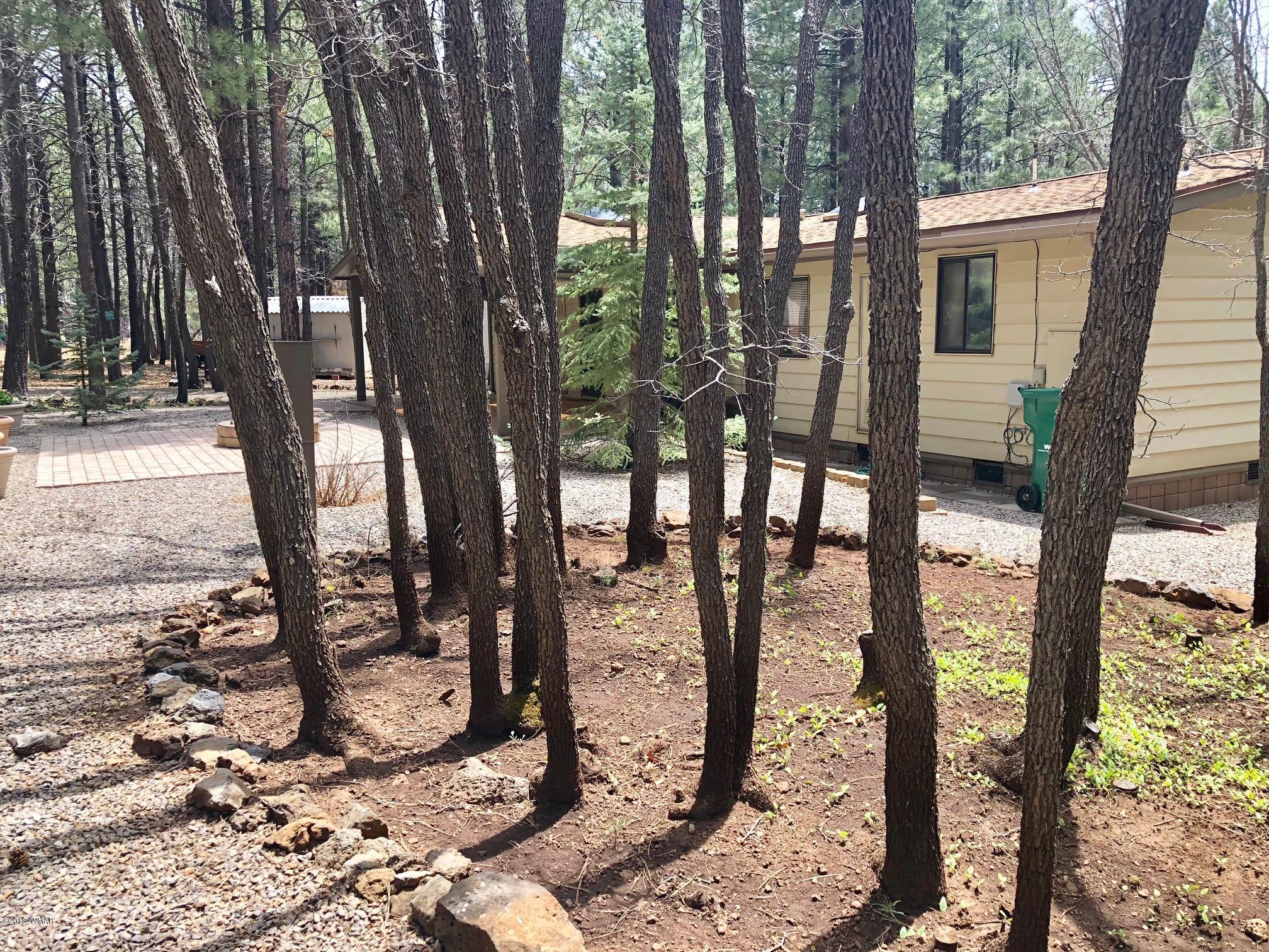 4288 Racoon Court Pinetop, AZ 85935 - Photo 24 of 29 a view of outdoor space