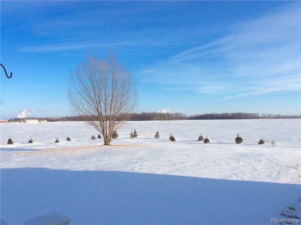 11350 Palmer Road Maybee, MI 48159 - Photo 22 of 22 BEAUTIFUL COUNTRY VIEWS IN EVERY DIRECTION! EVERGREENS PLANTED AROUND THE PERIMETER
