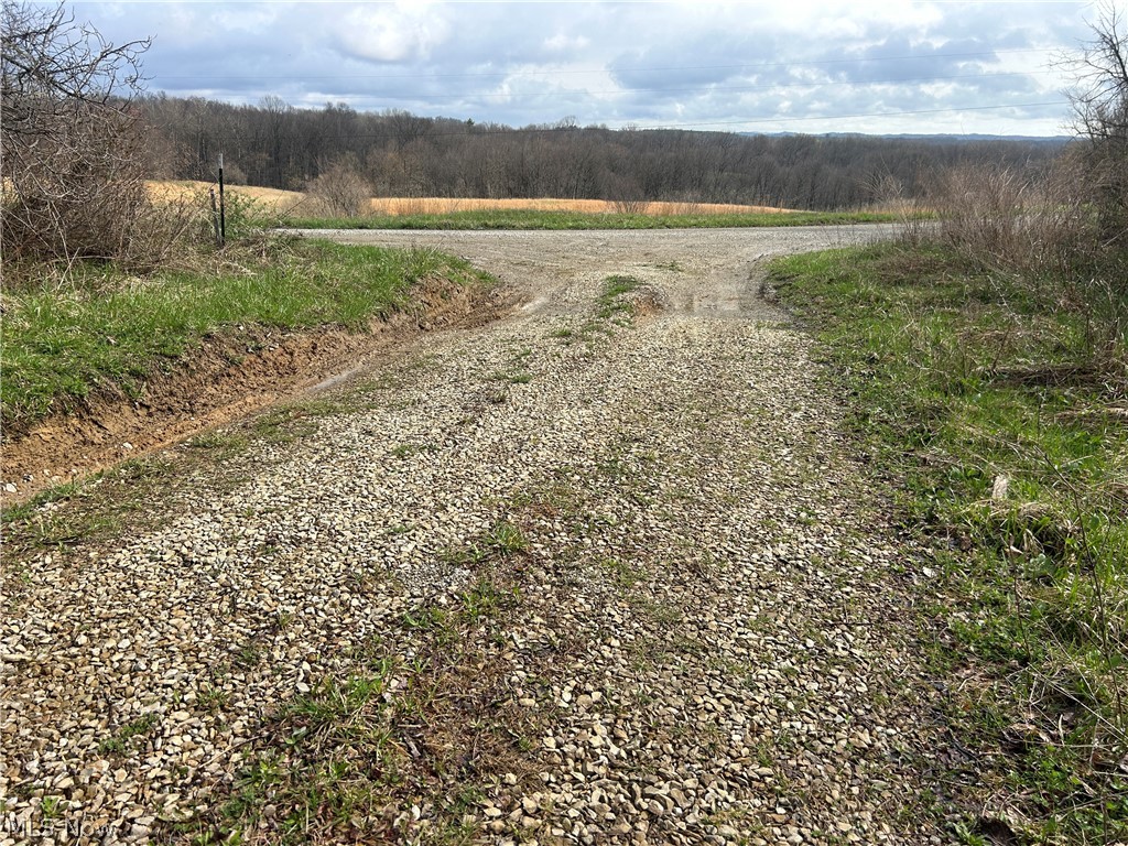 Wilbur Bush Road Crooksville, OH 43731 - Photo 19 of 19