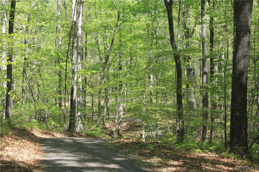 232 Perkins Mill Road Dillwyn, VA 23936 - Photo 37 of 48
