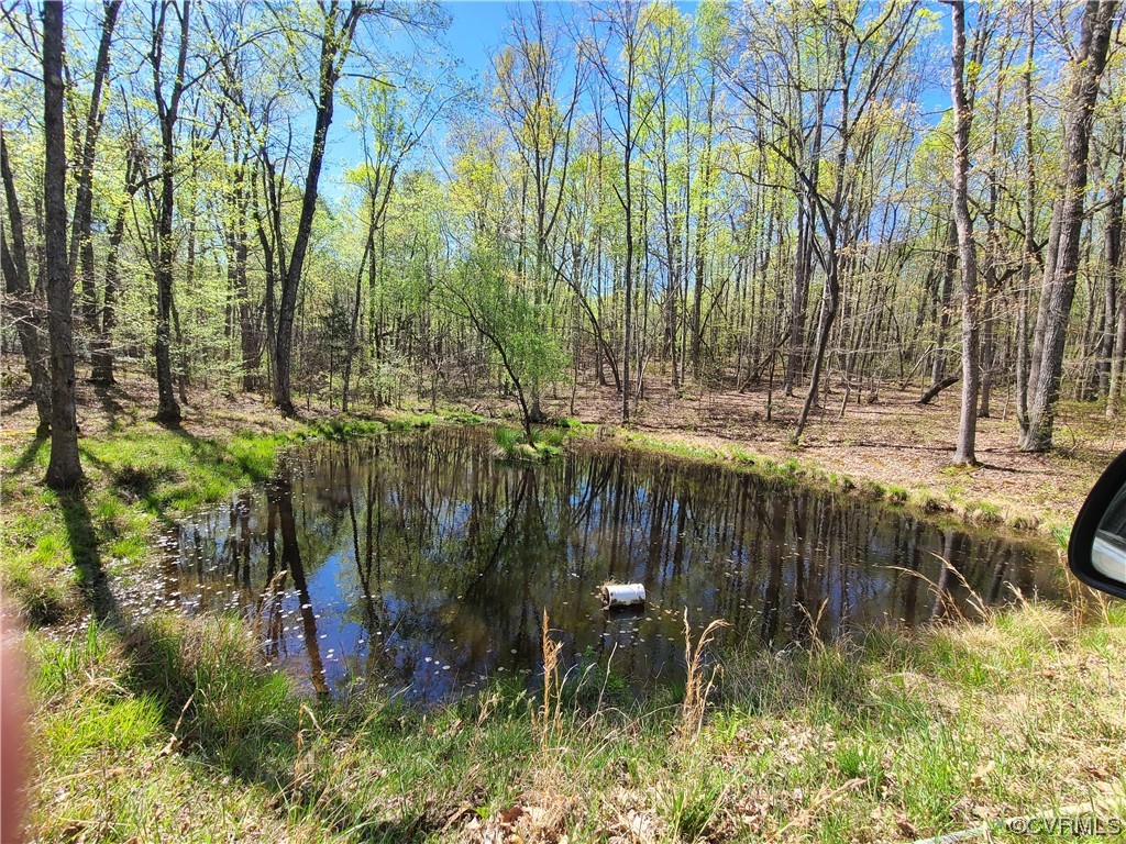 232 Perkins Mill Road Dillwyn, VA 23936 - Photo 40 of 48 a view of outdoor space and yard
