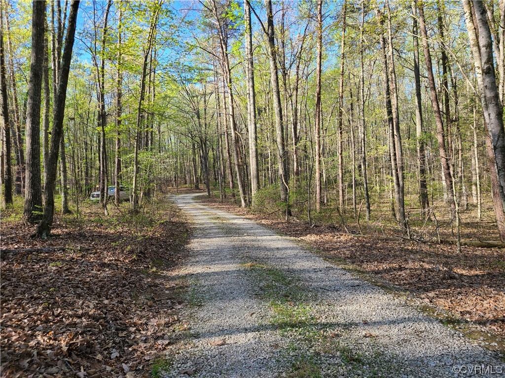232 Perkins Mill Road Dillwyn, VA 23936 - Photo 48 of 48 a backyard of a house with lots of green space