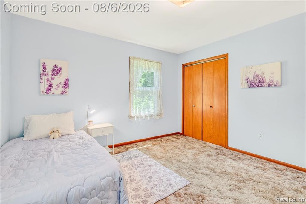 16887 Renton Road Belleville, MI 48111 - Photo 36 of 58 Gallery Image 36