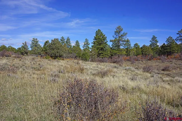 $379,000 | 31110 V 6, Dolores, CO 81323