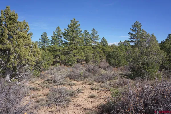 $379,000 | 31110 V 6, Dolores, CO 81323