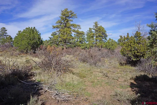 $379,000 | 31110 V 6, Dolores, CO 81323