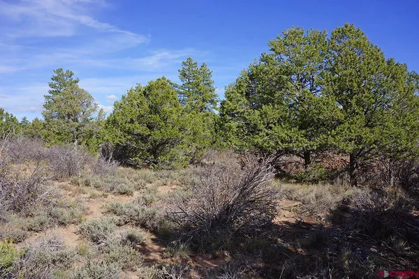 $379,000 | 31110 V 6, Dolores, CO 81323