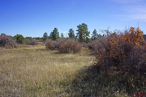 $379,000 | 31110 V 6, Dolores, CO 81323