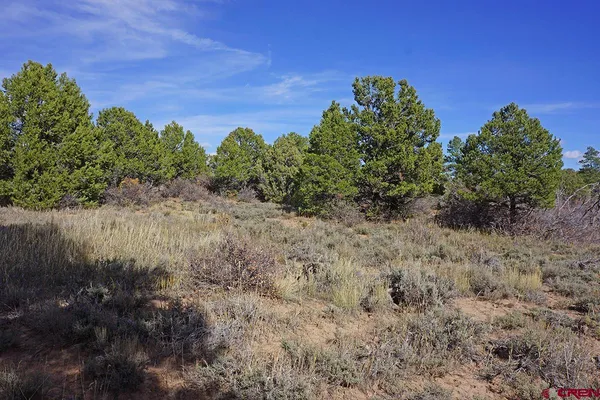 $379,000 | 31110 V 6, Dolores, CO 81323