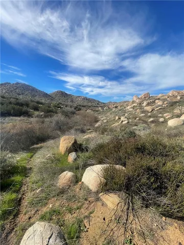 a view of a forest with mountains in the background