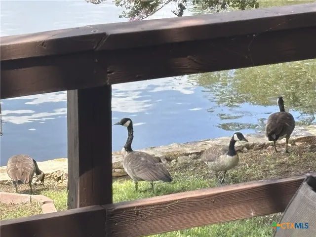a view of a lake from a window