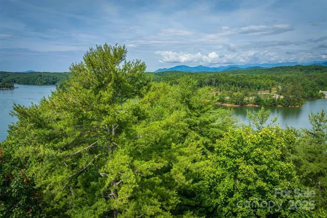 a view of a lake with a yard