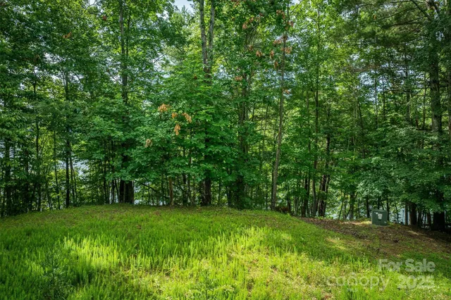 a view of green field with trees in the background