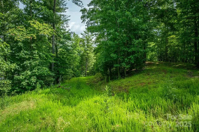 a view of yard with green space
