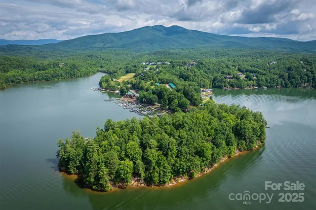 a view of a lake with a mountain in the background