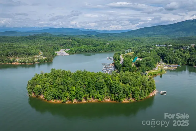 a view of a lake with a mountain in the back