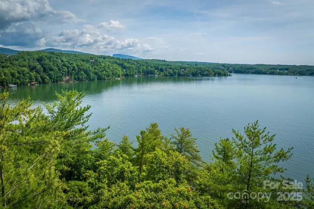 a view of a lake with houses in the back
