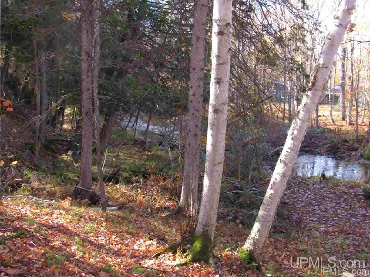 Lot 1 Sicotte Road Skanee, MI 49962 - Photo 6 of 23