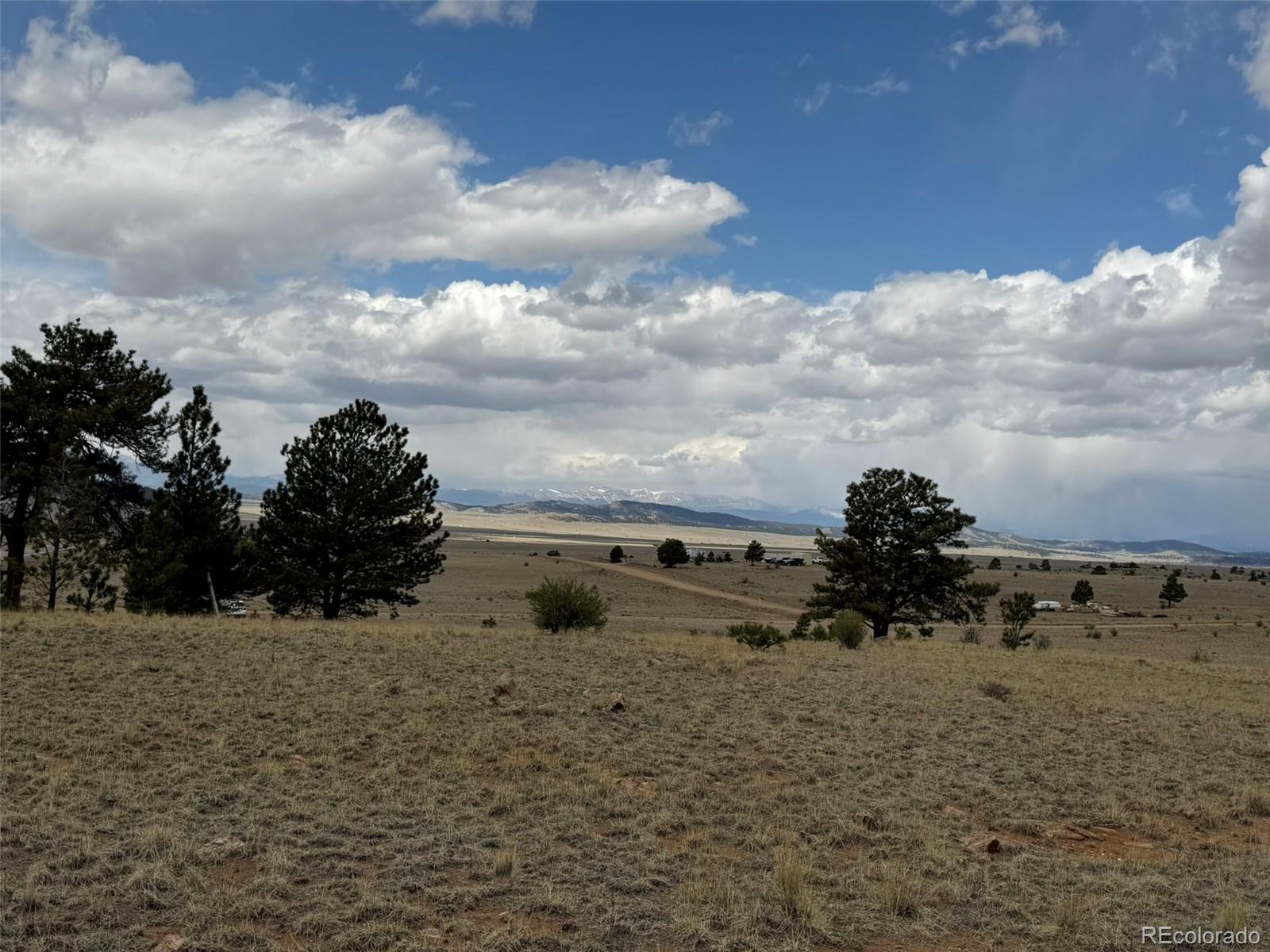 42 Turner Gulch Road Lake George, CO 80827 - Photo 16 of 23 a view of a yard with wooden fence