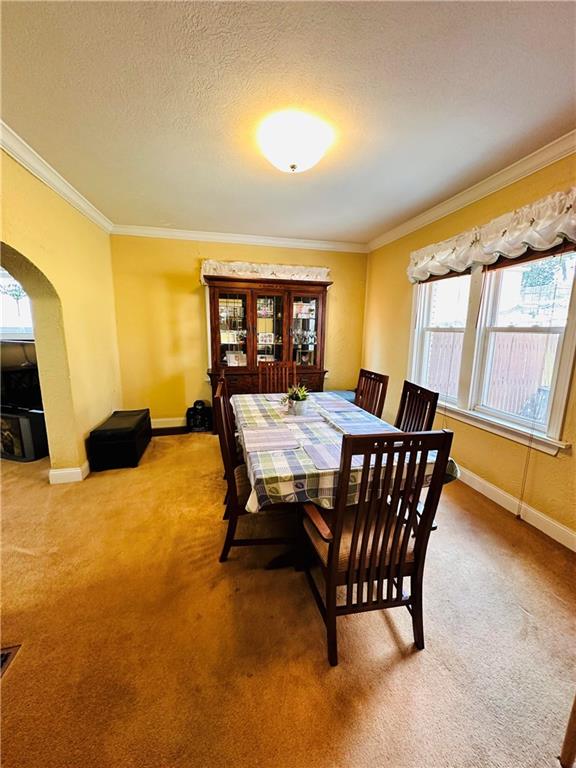 560 North Elm Street Butler, PA 16001 - Photo 8 of 22 Gallery Image 8
