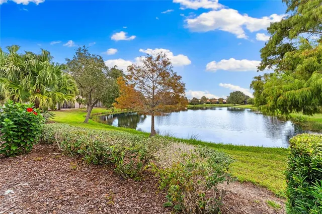 a view of a lake with a yard