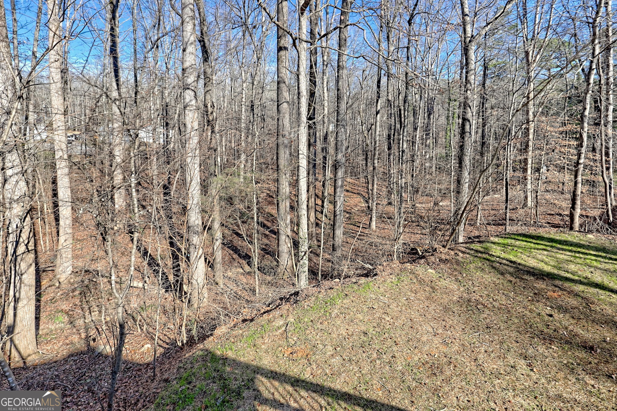 233 Piney Ridge Road Jasper, GA 30143 - Photo 30 of 38 a view of a backyard of the house