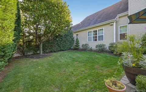 a view of a backyard with plants and large trees
