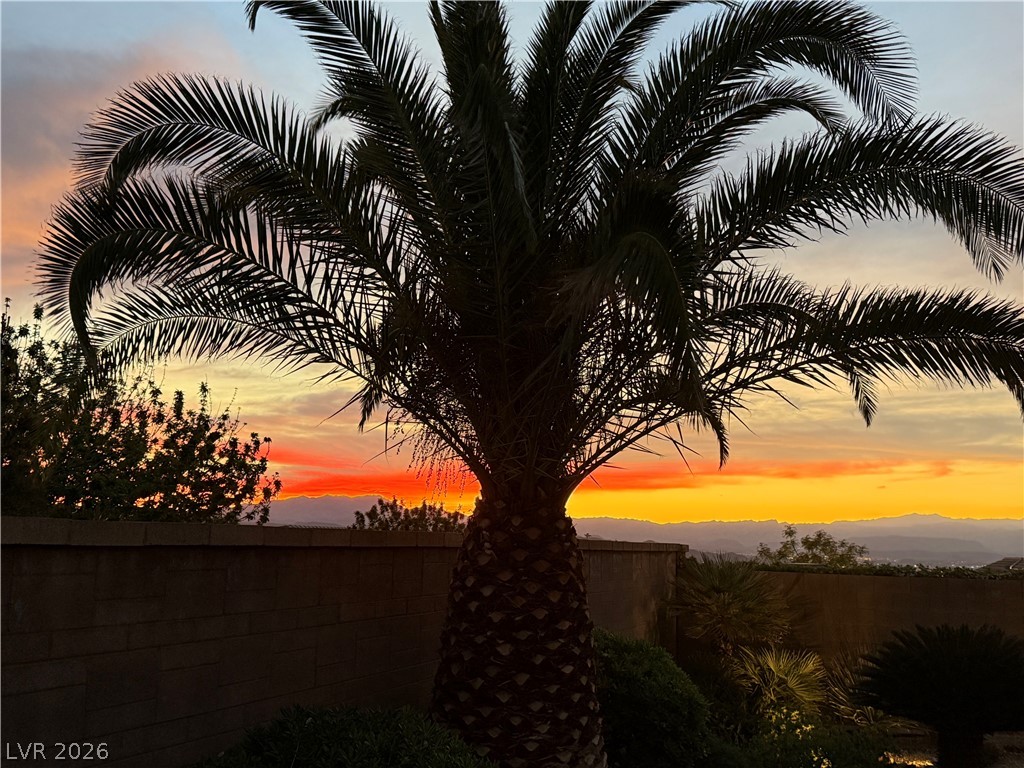 2567 Dirleton Place Henderson, NV 89044 - Photo 63 of 67 Sunset view from backyard. Palm fronds silhouette against a vibrant sunset over distant hills, framing a tranquil outdoor setting.