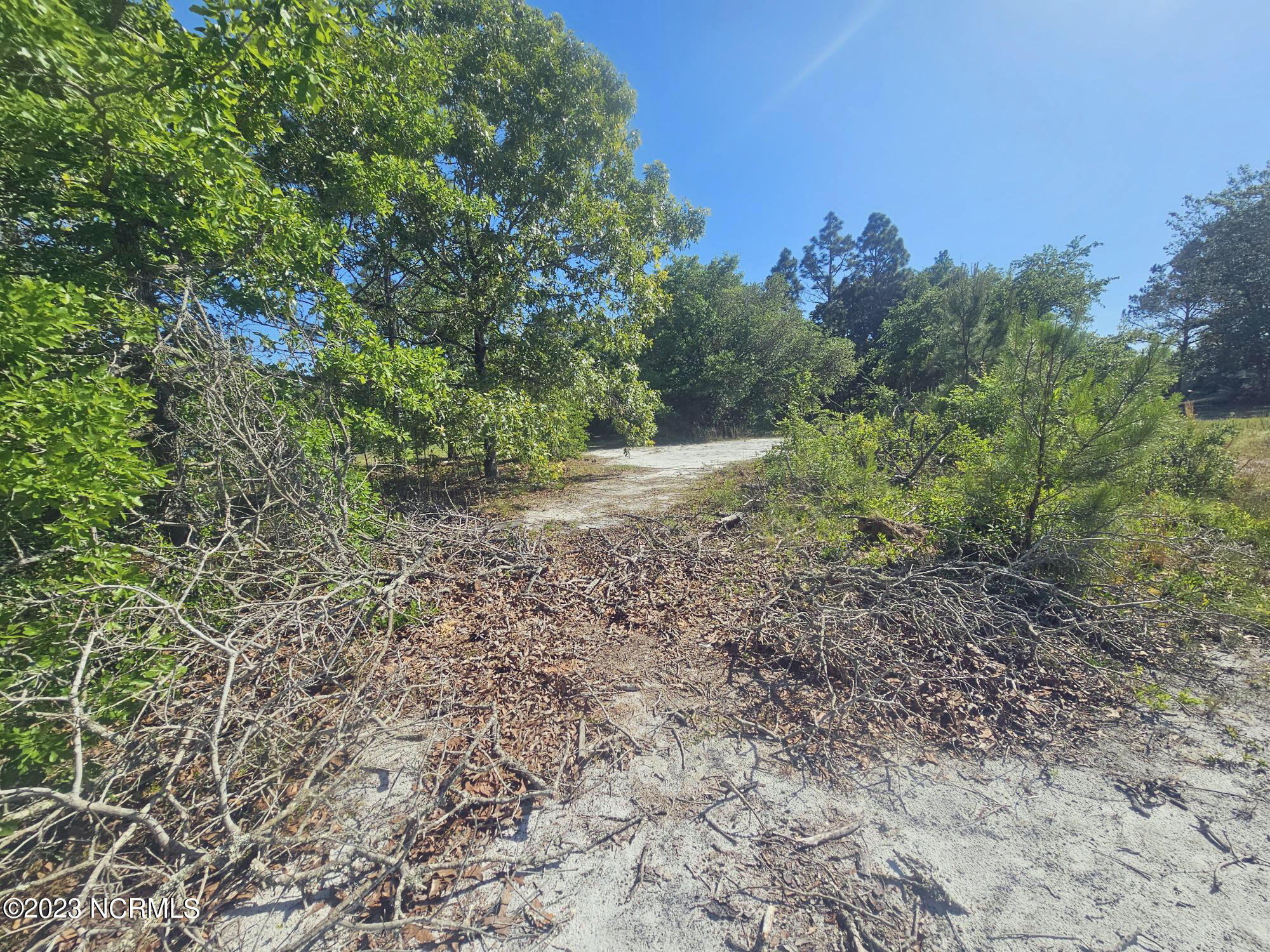 0 Dundee Trail Holly Ridge, NC 28445 - Photo 2 of 2 Lot 2 additional